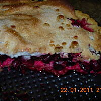 Tarta z agresto-porzeczką