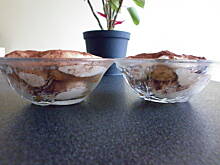 Fot. eeveee, tiramisu z czekolada