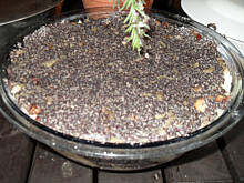 Fot. mezatka, Makówki nie tylko na święta od Mężatki