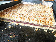 Fot. Silvana90, Pleśniak