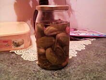 Fot. kristi, Konserwowe ogórki mojej Mamy