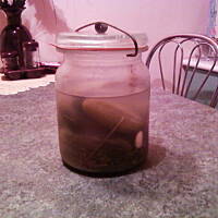 Kiszone ogórki mojej Mamy