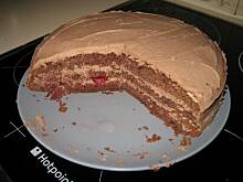 Fot. 555, tort węgierski