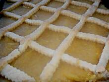 Fot. skopolendra, Szarlotka słoneczna