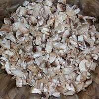 krokiety nieee takie jak zwykle