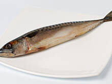 Fot. Wkn, Dlaczego karpie pływały w mleku - czyli o tym co można, lecz nie powinno się robić z rybą...