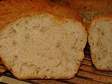 Fot. beata66, Chleb słonecznikowy na maślance