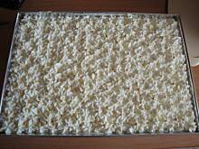 Fot. anettaM, Cytryniaczek