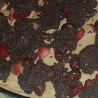 Wilgotny makowiec drożdżowo-kruchy