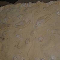 Wilgotny makowiec drożdżowo-kruchy