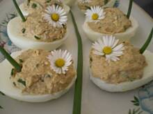 Fot. filonka86, Jajka faszerowane tuńczykiem