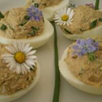 Jajka faszerowane tuńczykiem