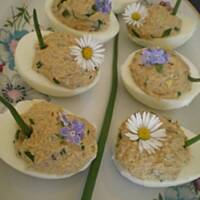 Jajka faszerowane tuńczykiem