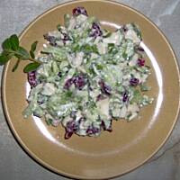 Sałatka z żurawiną i selerem