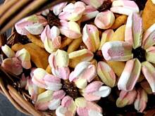 Fot. marialeksandra, Babeczki - wielkanocne kwiecie