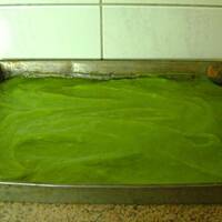 Shrek - krok po kroku