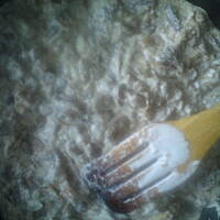 boczniaki duszone w śmietanie