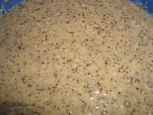 Fot. Paszczakowa, Gnieciuch mięciuch