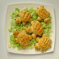 Żółwiki drożdżowe