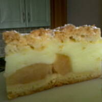 Ciasto jabłkowo-budyniowe