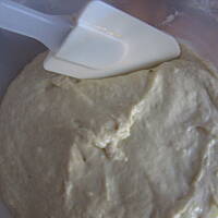 Pączusie Homogenizowane