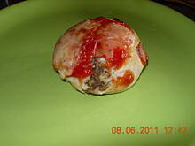 Fot. Satina, Bułeczki z pieczarkami