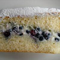 Biszkopt z jagodami i kremem budyniowym