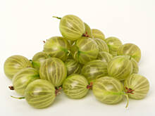 Fot. Wkn, Agrest - winorośl Północy