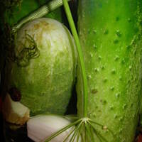 Ogórki kiszone znikające