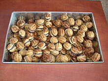 Fot. -izka-, Orzeszki