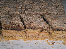 Fot. Milena6, Sezamowiec