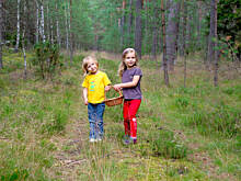 Fot. Wkn, Grzybowe ABC - Bezpieczne i kulturalne zbieranie grzybów