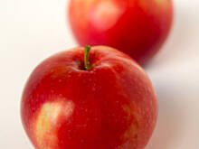 Fot. Wkn, Genewa Early