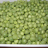 Zupa-krem ze świeżego zielonego groszku