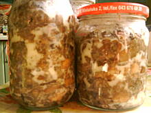 Fot. caroline1983, Konserwa z grzybów w smalcu