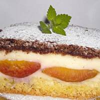 Ciasto ze śliwkami i budyniem