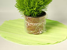 Fot. Wkn, Ozdabiamy doniczkę kołnierzykiem z krepiny