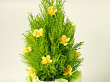 Fot. Wkn, Jak obsypać prezent krepinowymi kwiatuszkami