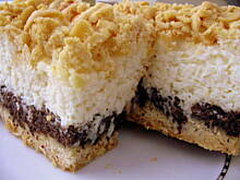 Fot. Krystyna911, Leniwiec udający seromakowca