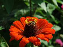 Fot. aggusia35, Miód Miodowi nie równy