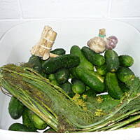 Ogórki małosolne / kiszone dla początkujących!