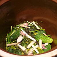 Ogórki małosolne / kiszone dla początkujących!