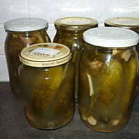 Ogórki małosolne / kiszone dla początkujących!