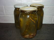 Fot. pralina, Ogórki małosolne / kiszone dla początkujących!