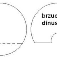 Tort dinozaur "dinuś"