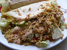 Fot. InkaMalinka, Udomowiony Kebab