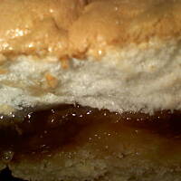 Jabłecznik ulubiony