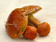 Fot. Wkn, Maślak żółty (maślak modrzewiowy)