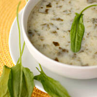 Zupa ze świeżego szczawiu