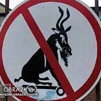 Kurczak z czyśćca rodem (stary przepis babci)